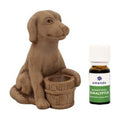 Saunahund mit Eukalyptusduft 10 ml